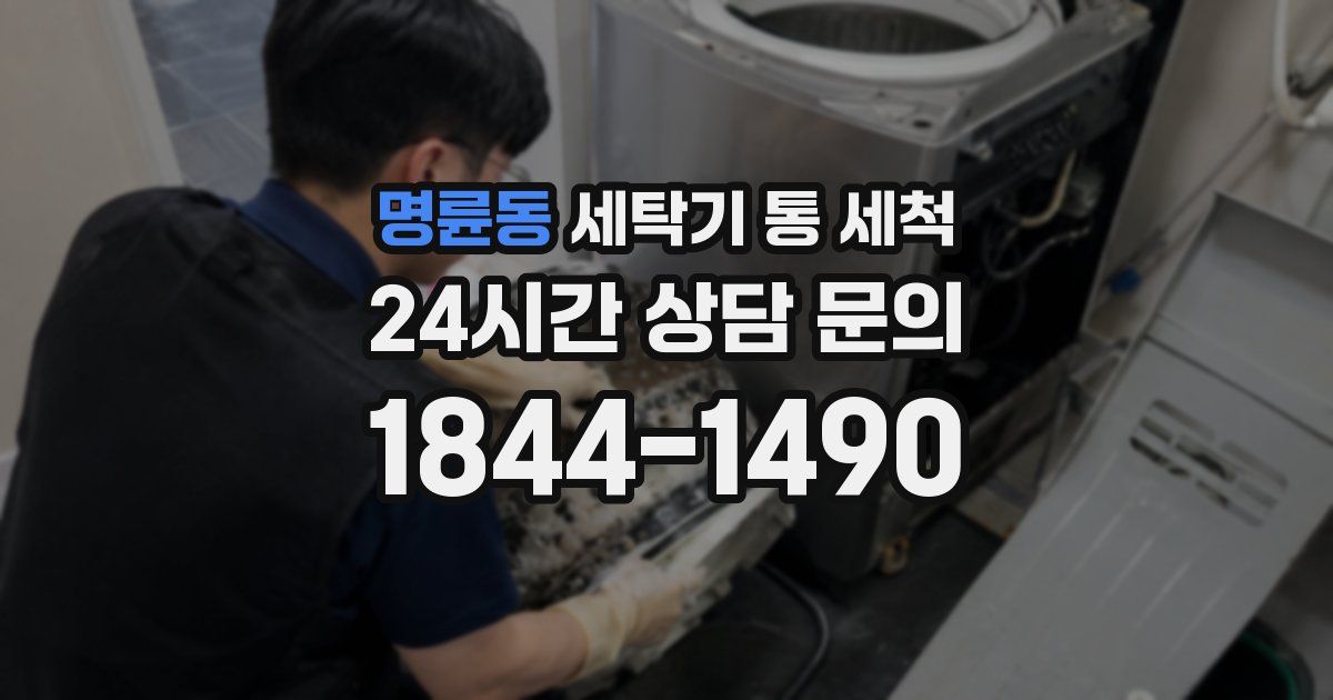 명륜동 세탁기 통 세척