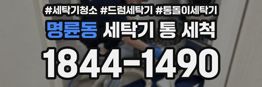 명륜동 세탁기 통 세척