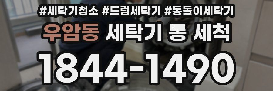 우암동 세탁기 통 세척
