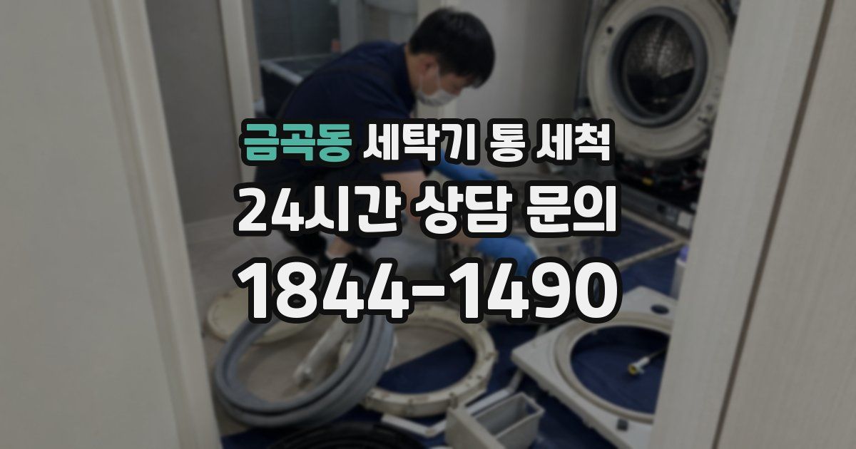금곡동 세탁기 통 세척