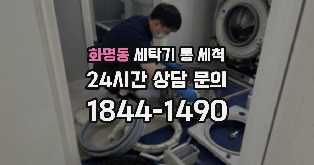 화명동 세탁기 통 세척