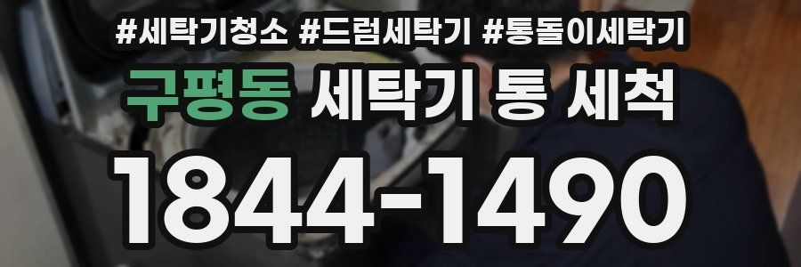구평동 세탁기 통 세척