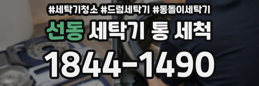 선동 세탁기 통 세척
