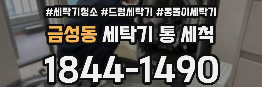 금성동 세탁기 통 세척