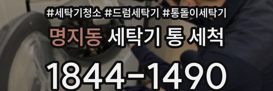 명지동 세탁기 통 세척