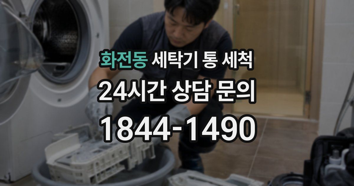 화전동 세탁기 통 세척