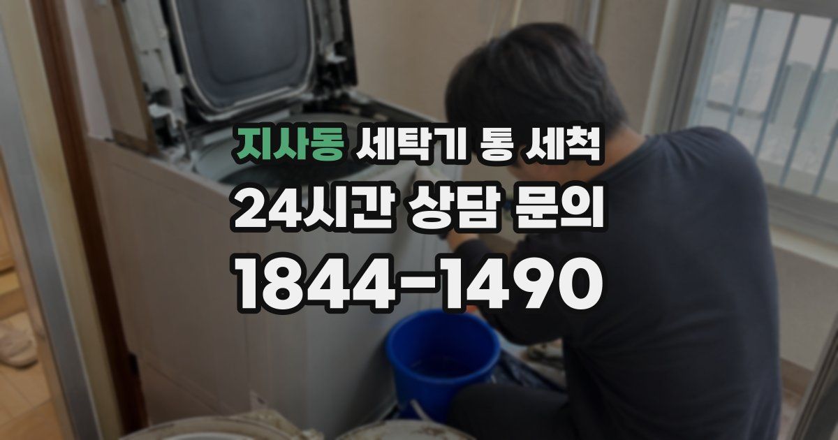 지사동 세탁기 통 세척
