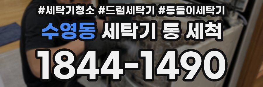 수영동 세탁기 통 세척