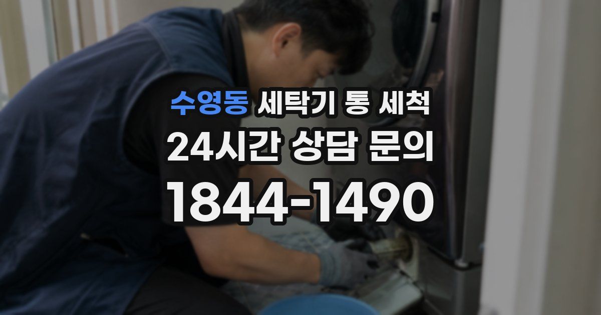 수영동 세탁기 통 세척