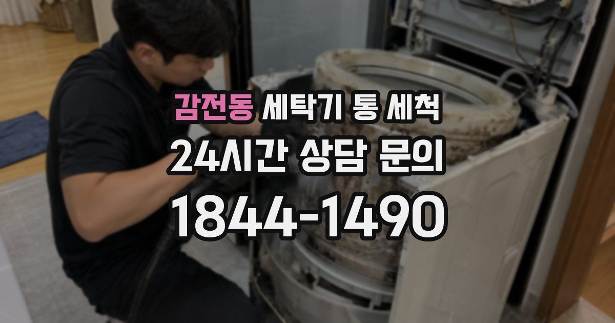 감전동 세탁기 통 세척