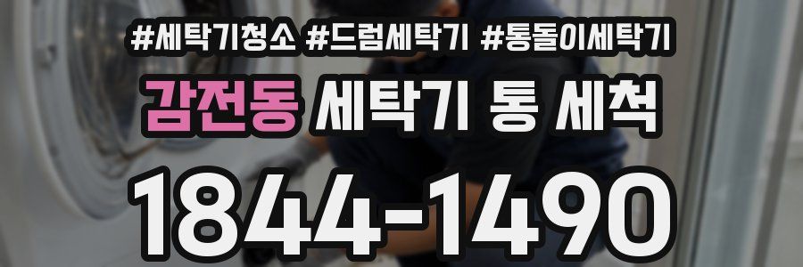 감전동 세탁기 통 세척