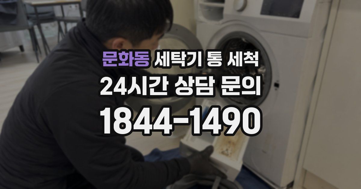 문화동 세탁기 통 세척