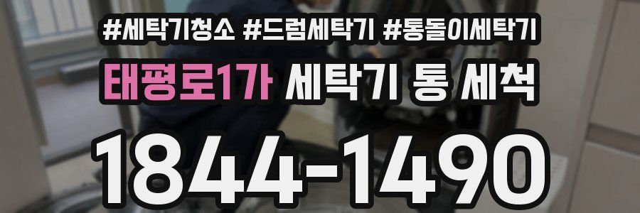 태평로1가 세탁기 통 세척