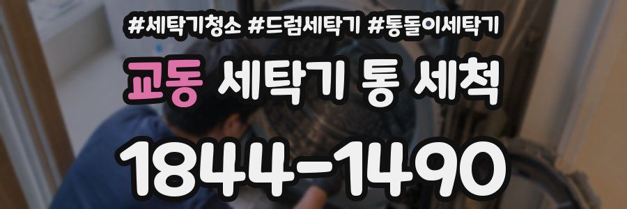 교동 세탁기 통 세척