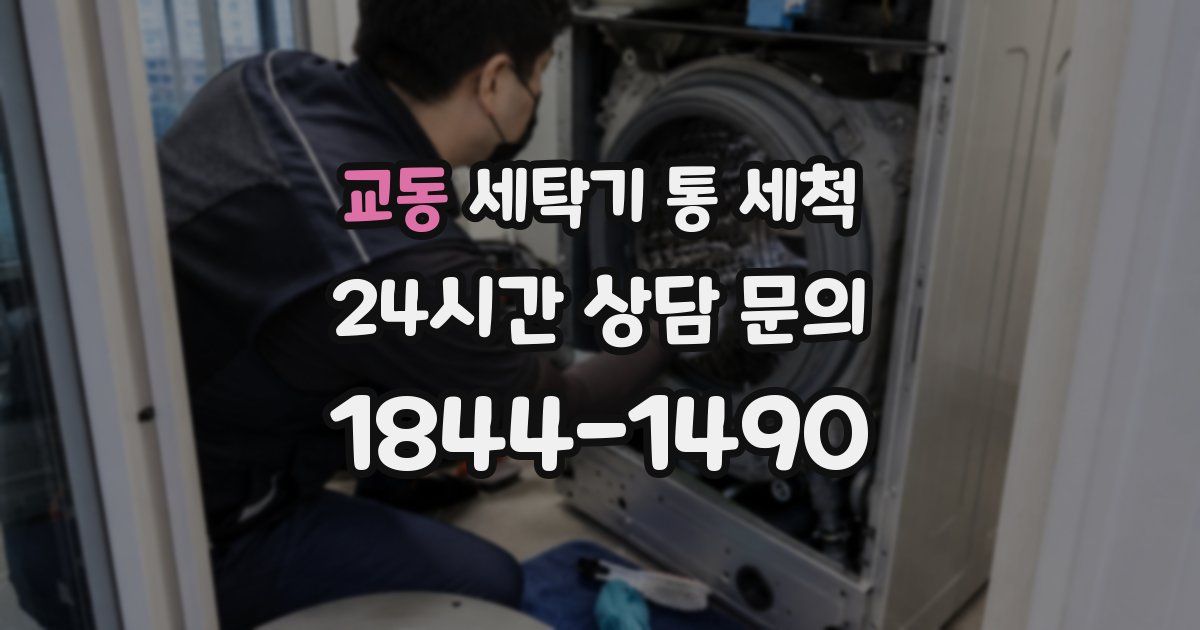 교동 세탁기 통 세척