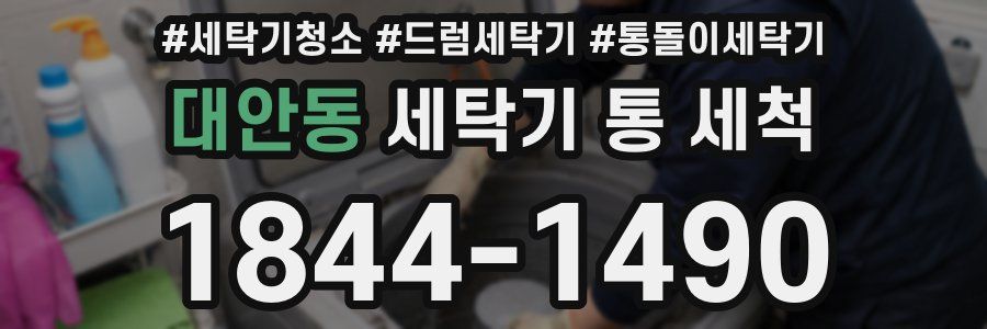 대안동 세탁기 통 세척