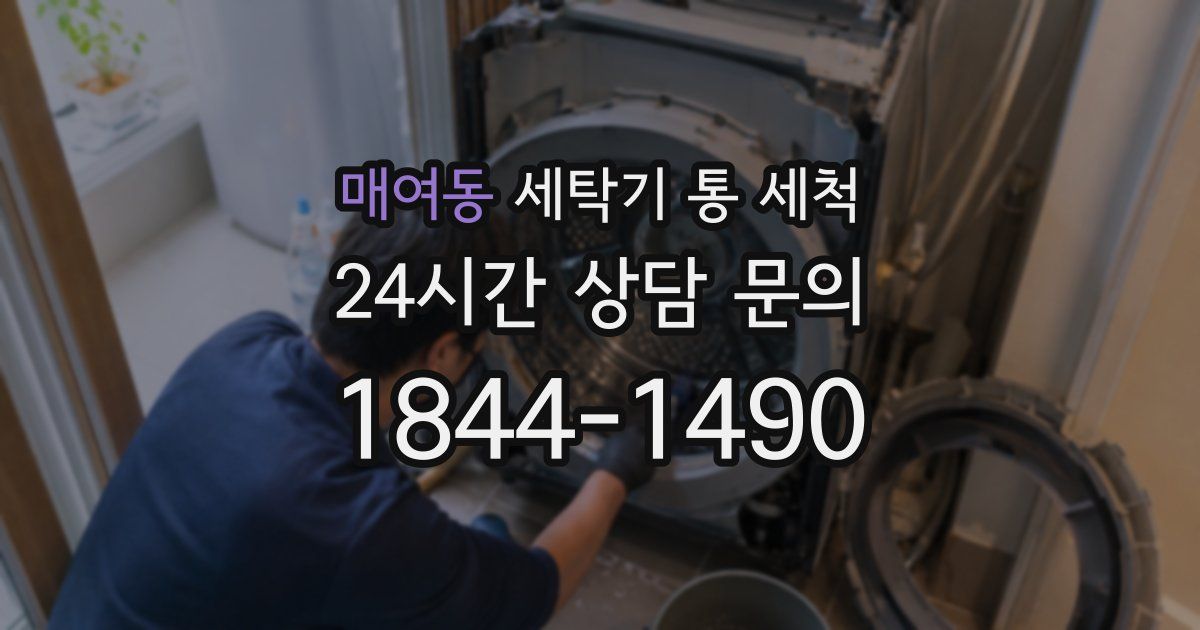 매여동 세탁기 통 세척