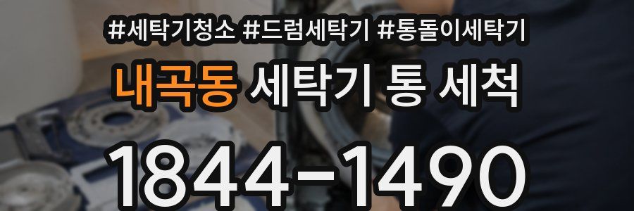 내곡동 세탁기 통 세척