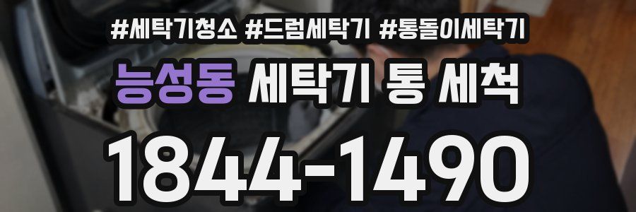 능성동 세탁기 통 세척