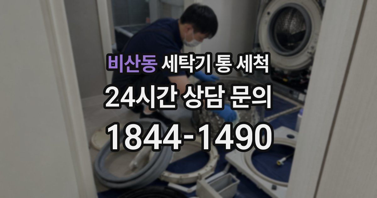 비산동 세탁기 통 세척