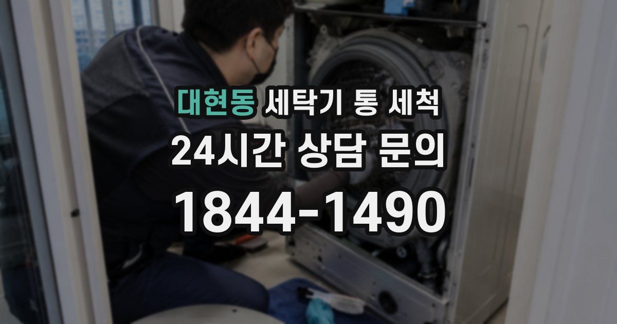 대현동 세탁기 통 세척