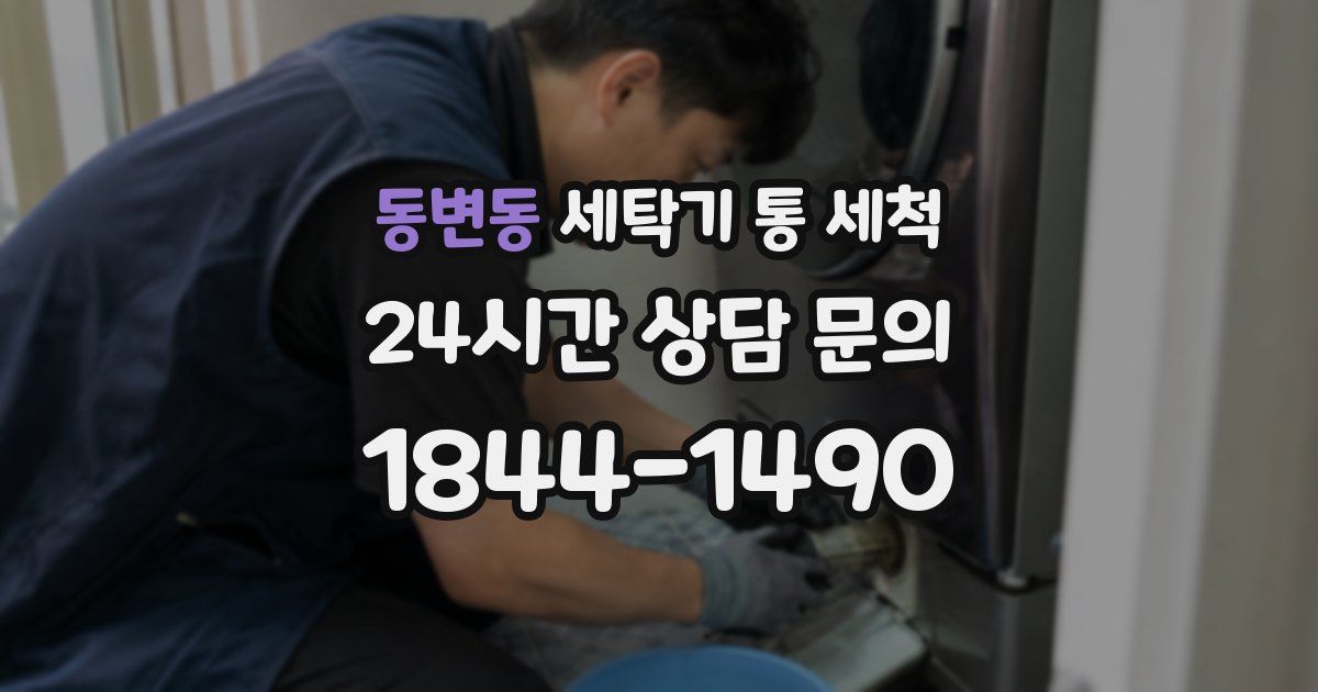 동변동 세탁기 통 세척