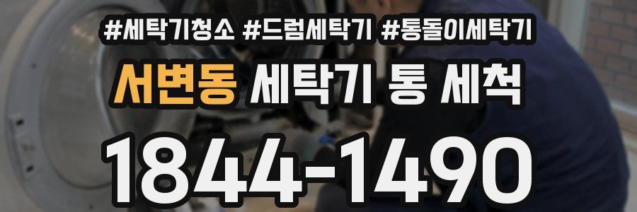 서변동 세탁기 통 세척