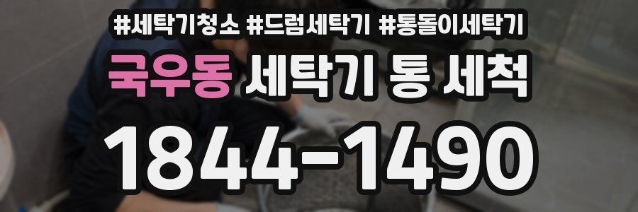 국우동 세탁기 통 세척