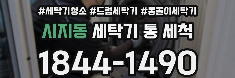 시지동 세탁기 통 세척