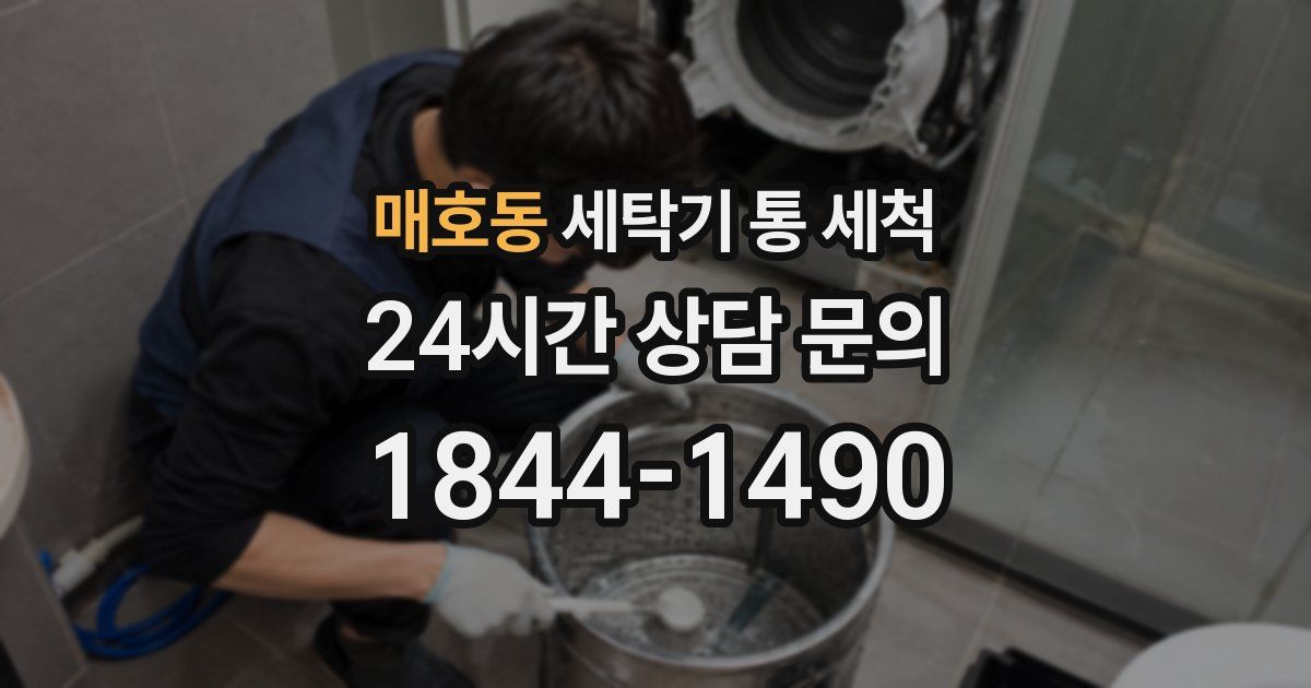 매호동 세탁기 통 세척