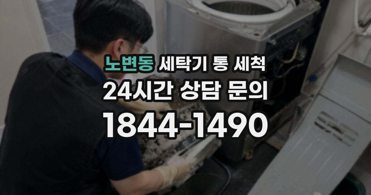 노변동 세탁기 통 세척