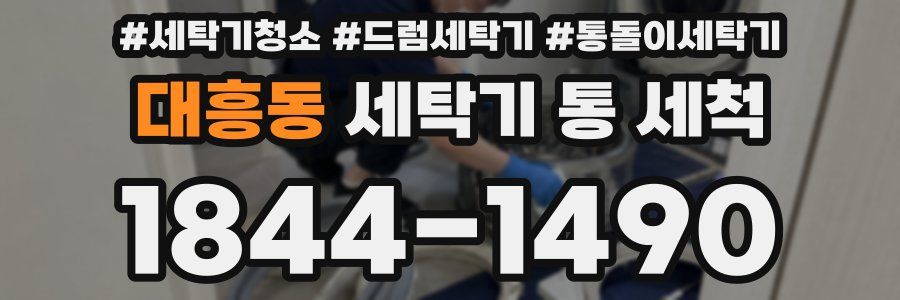 대흥동 세탁기 통 세척