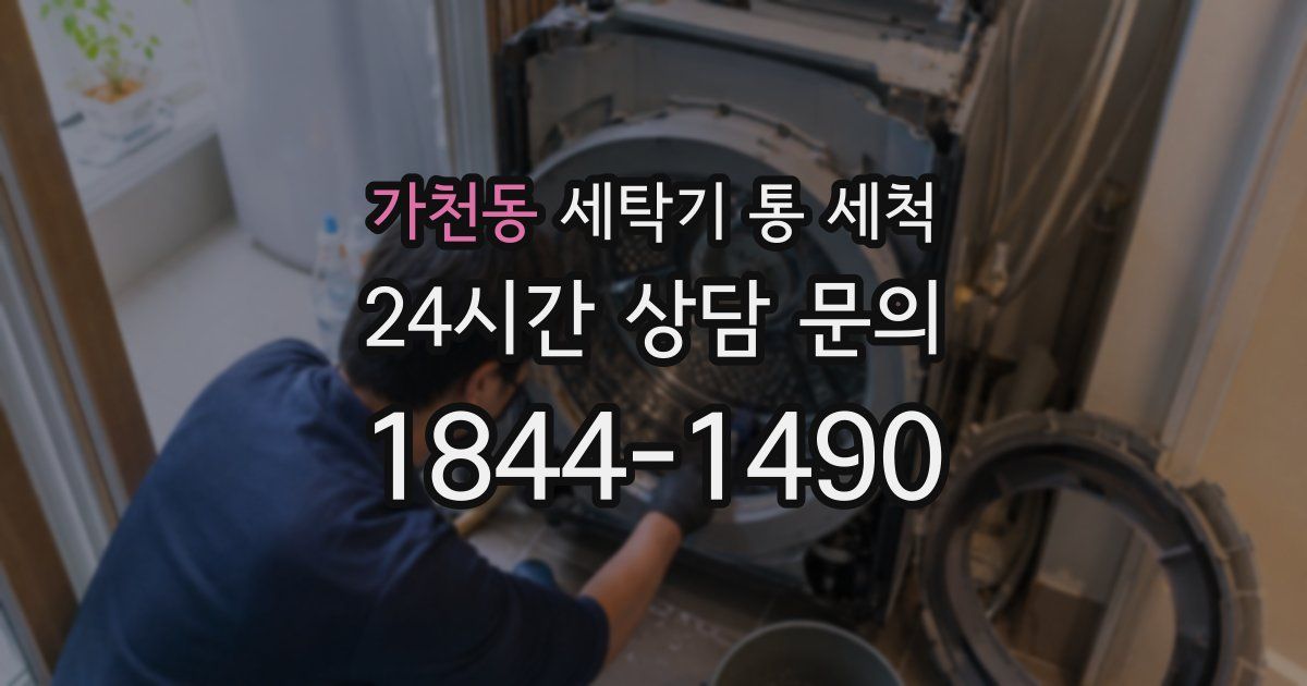 가천동 세탁기 통 세척