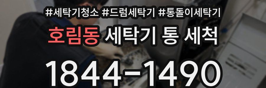 호림동 세탁기 통 세척