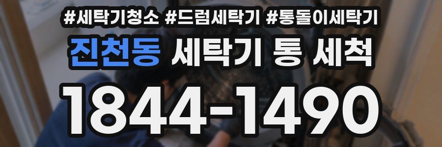 진천동 세탁기 통 세척