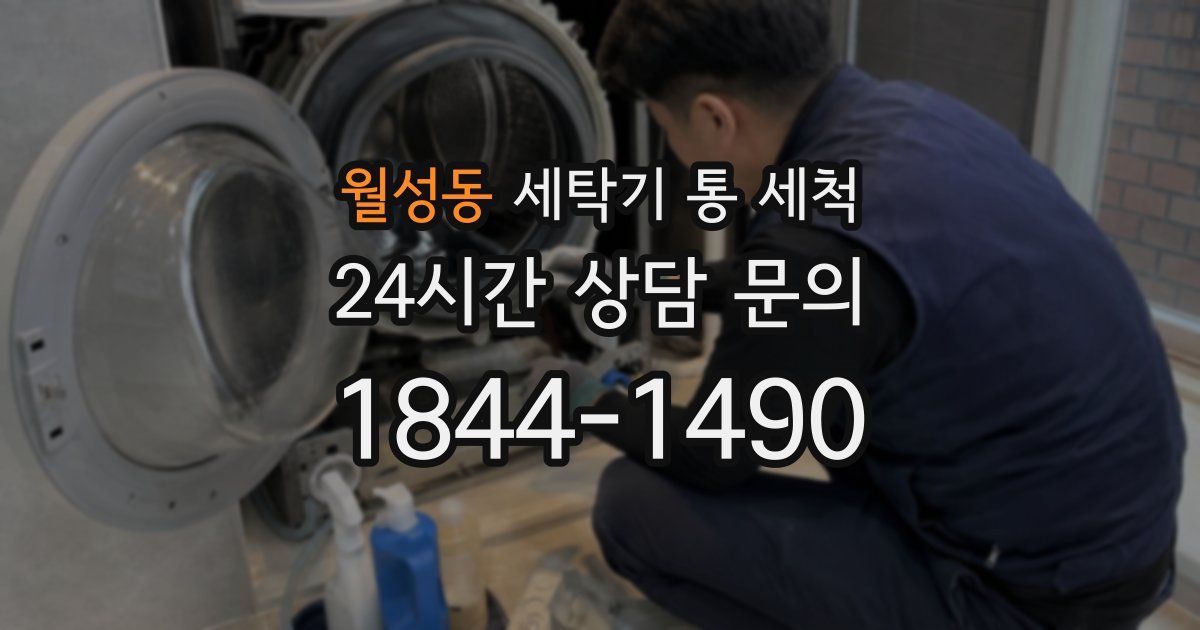월성동 세탁기 통 세척