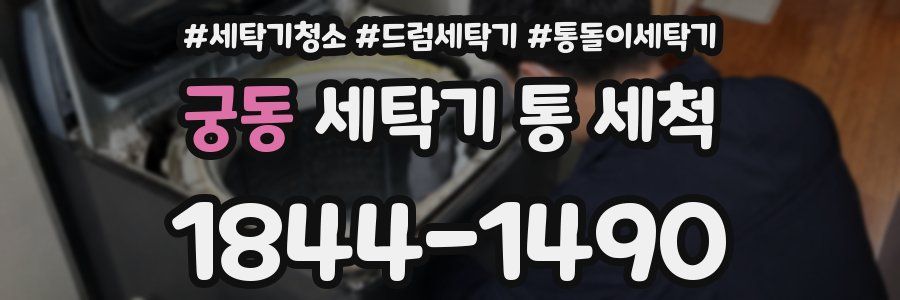 궁동 세탁기 통 세척
