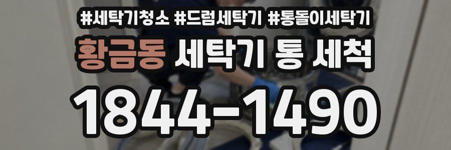 황금동 세탁기 통 세척