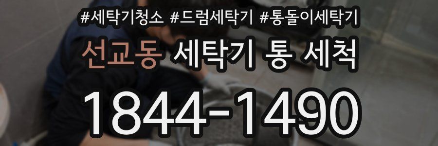 선교동 세탁기 통 세척