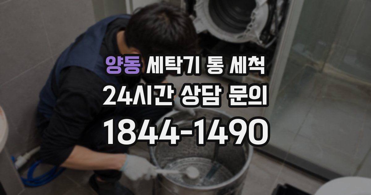 양동 세탁기 통 세척