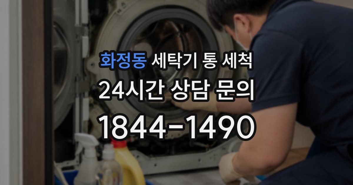 화정동 세탁기 통 세척