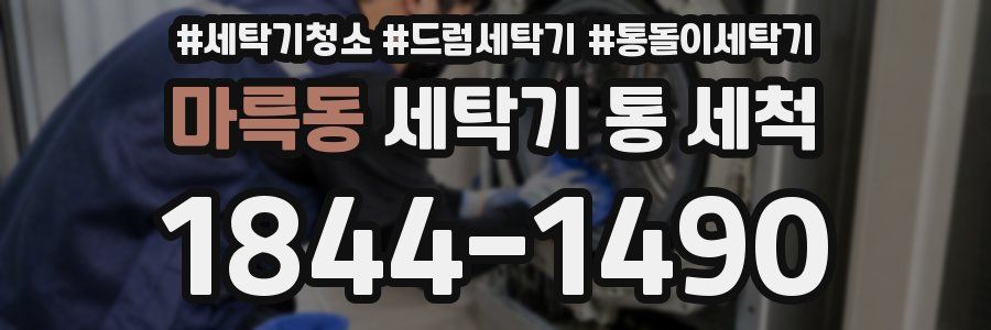 마륵동 세탁기 통 세척