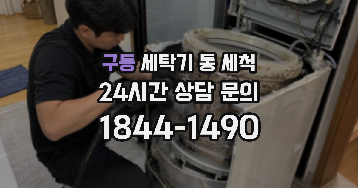 구동 세탁기 통 세척