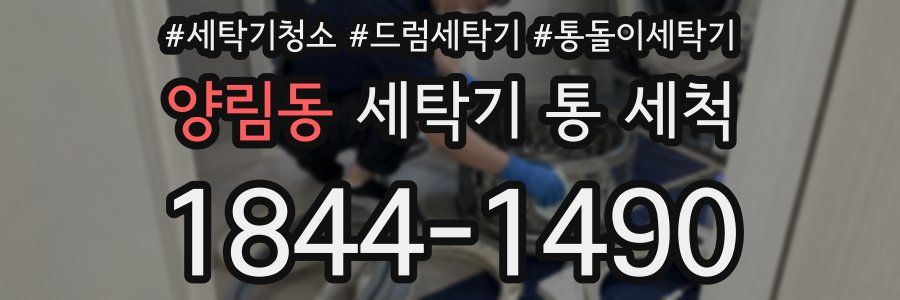 양림동 세탁기 통 세척