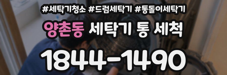 양촌동 세탁기 통 세척