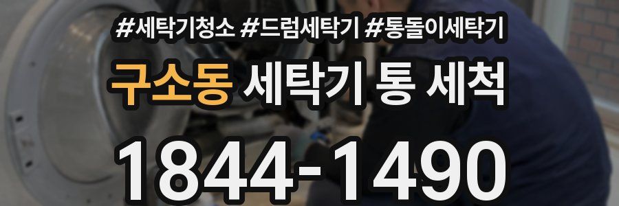 구소동 세탁기 통 세척
