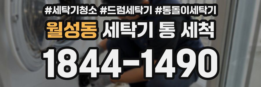 월성동 세탁기 통 세척