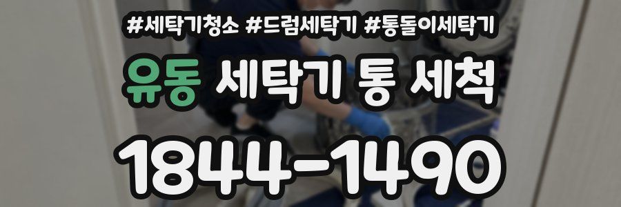 유동 세탁기 통 세척