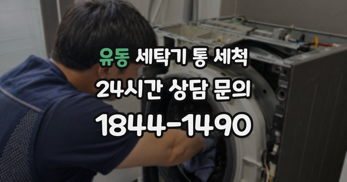 유동 세탁기 통 세척
