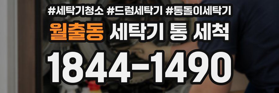 월출동 세탁기 통 세척